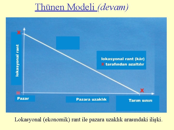 Thünen Modeli (devam) Lokasyonal (ekonomik) rant ile pazara uzaklık arasındaki ilişki. 