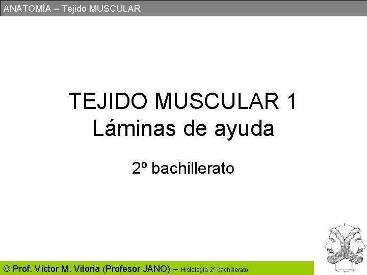 ANATOMÍA – Tejido MUSCULAR TEJIDO MUSCULAR 1 Láminas de ayuda 2º bachillerato © Prof.