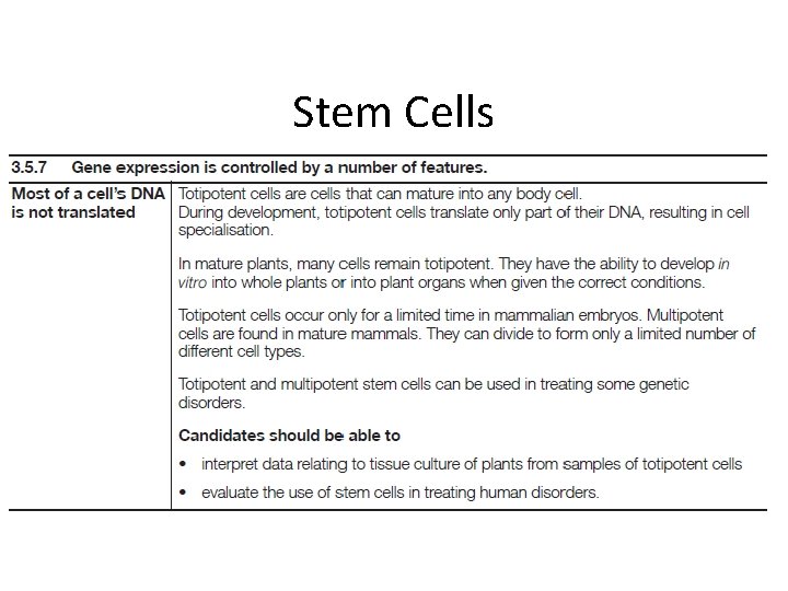 Stem Cells 