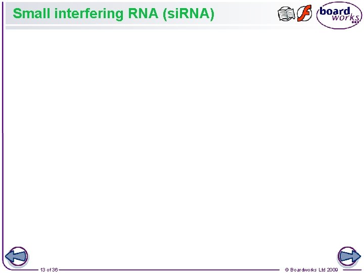 Small interfering RNA (si. RNA) 13 of 36 © Boardworks Ltd 2009 Small interfering RNA (si. RNA) 13 of 36 © Boardworks Ltd 2009