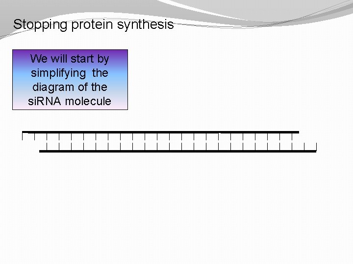 Stopping protein synthesis We will start by simplifying the diagram of the si. RNA Stopping protein synthesis We will start by simplifying the diagram of the si. RNA