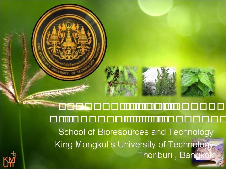 ������� �� �������� School of Bioresources and Technology King Mongkut’s University of Technology Thonburi