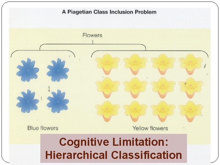 Cognitive Limitation: Hierarchical Classification 