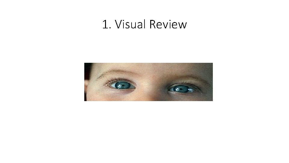 1. Visual Review 