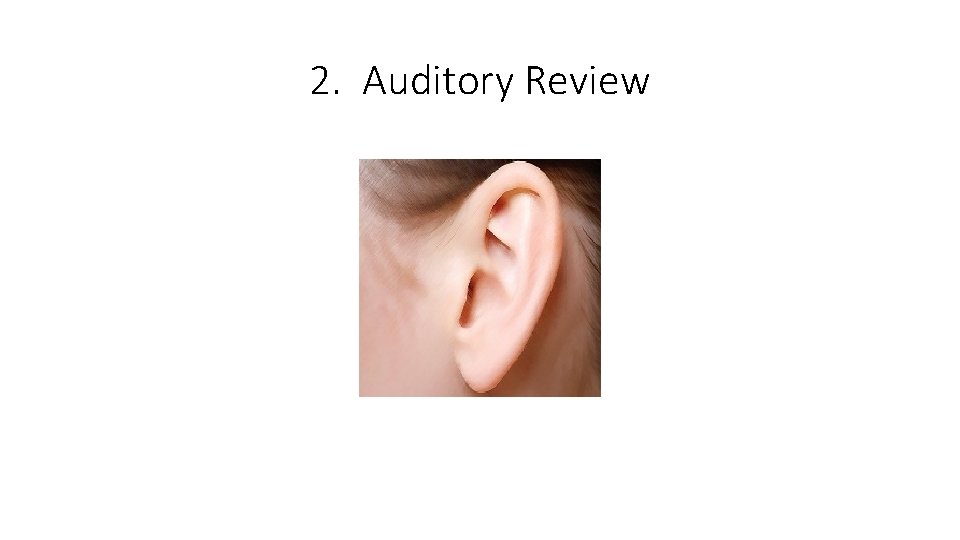 2. Auditory Review 