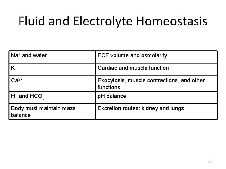 Fluid and Electrolyte Homeostasis Na+ and water ECF volume and osmolarity K+ Cardiac and