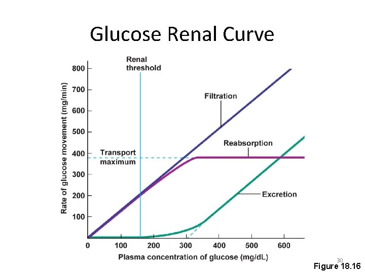 Glucose Renal Curve 30 Figure 18. 16 