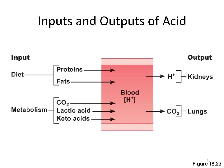 Inputs and Outputs of Acid 40 Figure 19. 23 