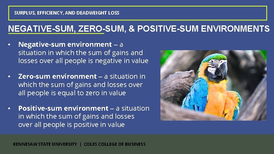 SURPLUS, EFFICIENCY, AND DEADWEIGHT LOSS NEGATIVE-SUM, ZERO-SUM, & POSITIVE-SUM ENVIRONMENTS • Negative-sum environment –