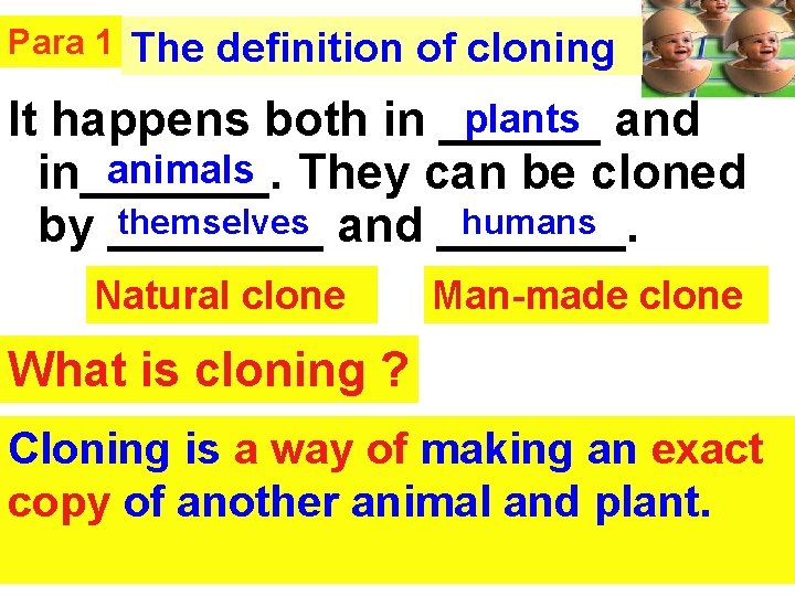 Para 1 The definition of cloning plants and It happens both in ______ animals