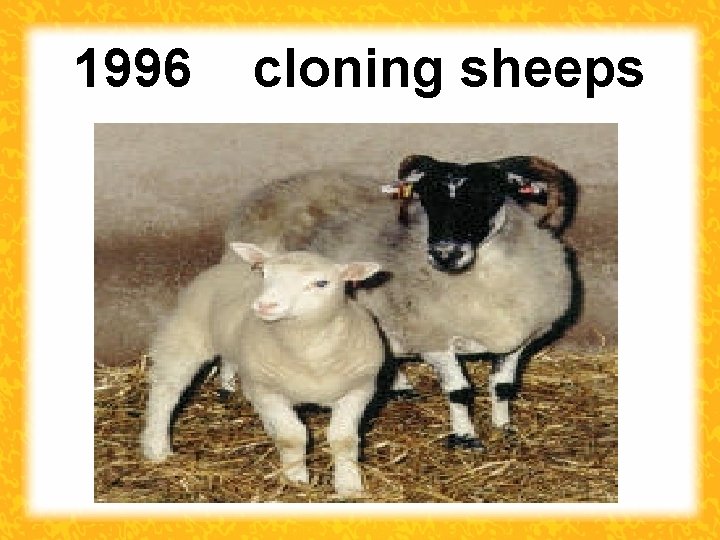 1996 cloning sheeps 