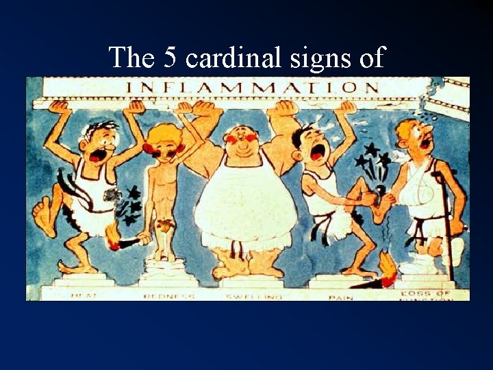 The 5 cardinal signs of 