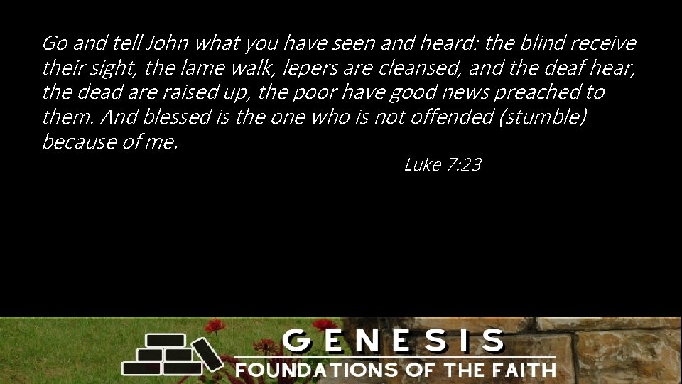 Go and tell John what you have seen and heard: the blind receive their