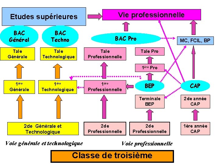 Etudes supérieures BAC Général Tale Générale BAC Techno Vie professionnelle BAC Pro Tale Technologique
