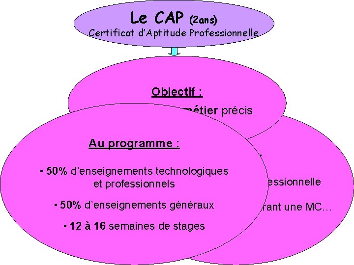 Le CAP (2 ans) Certificat d’Aptitude Professionnelle Objectif : Se former à un métier