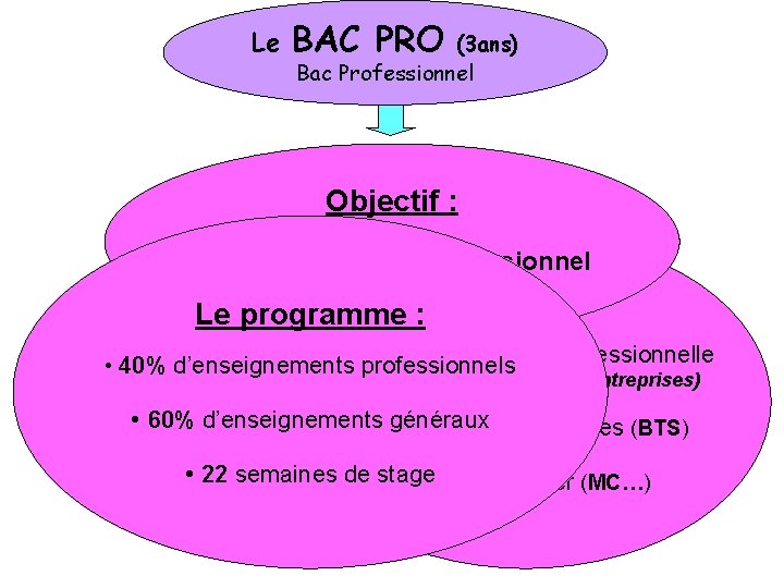 Le BAC PRO (3 ans) Bac Professionnel Objectif : Aborder un champ professionnel Et