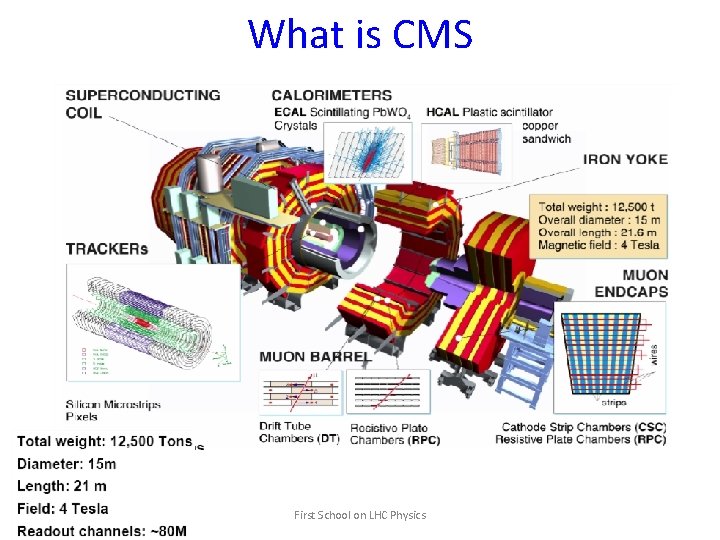What is CMS First School on LHC Physics 