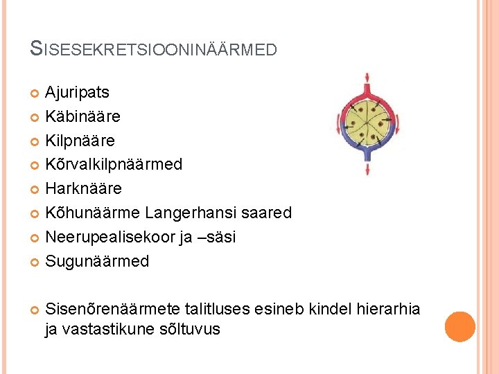 SISESEKRETSIOONINÄÄRMED Ajuripats Käbinääre Kilpnääre Kõrvalkilpnäärmed Harknääre Kõhunäärme Langerhansi saared Neerupealisekoor ja –säsi Sugunäärmed Sisenõrenäärmete