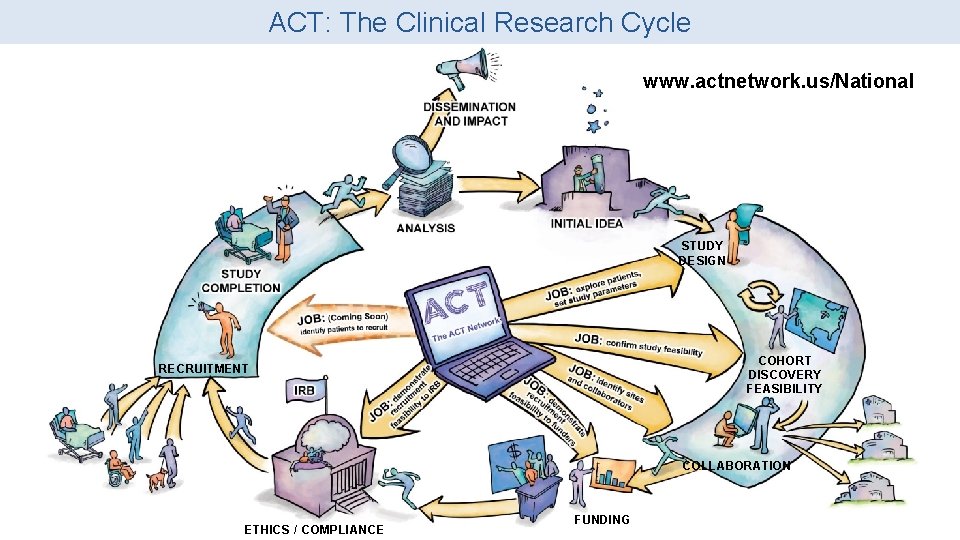 ACT: The Clinical Research Cycle www. actnetwork. us/National STUDY DESIGN COHORT DISCOVERY FEASIBILITY RECRUITMENT ACT: The Clinical Research Cycle www. actnetwork. us/National STUDY DESIGN COHORT DISCOVERY FEASIBILITY RECRUITMENT
