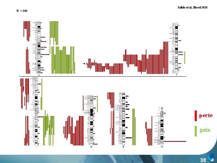 Salido et al, Blood 2010 N = 330 perte gain 38 