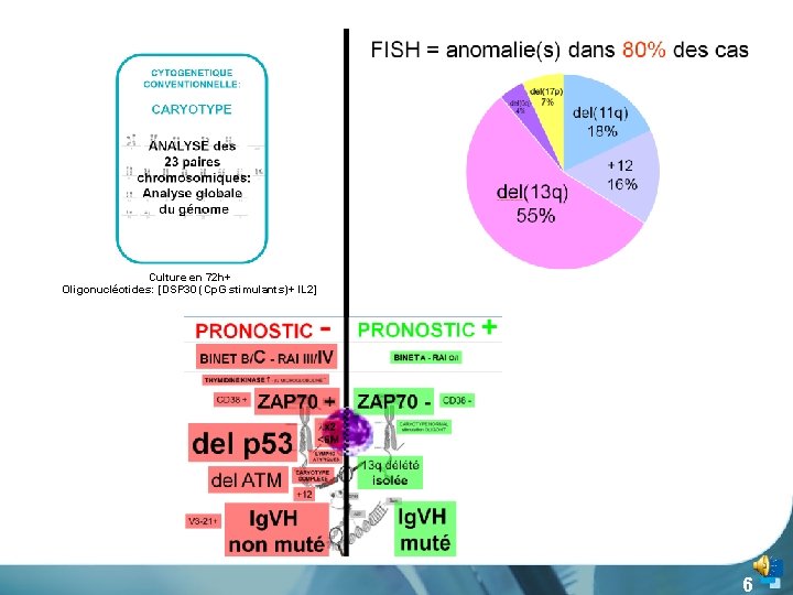  Culture en 72 h+ Oligonucléotides: [DSP 30 (Cp. G stimulants)+ IL 2] 6