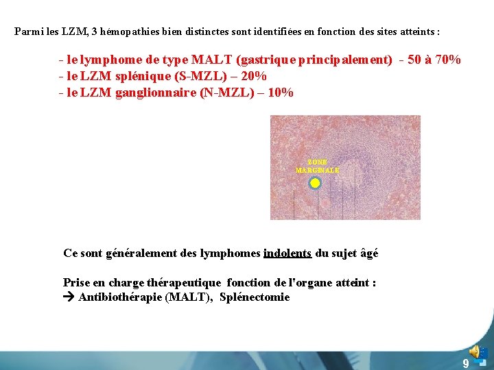 Parmi les LZM, 3 hémopathies bien distinctes sont identifiées en fonction des sites atteints