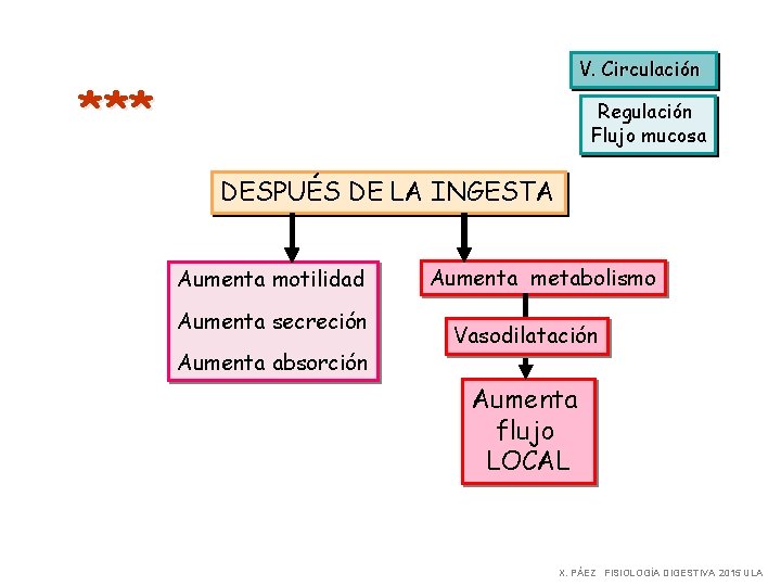 V. Circulación *** Regulación Flujo mucosa DESPUÉS DE LA INGESTA Aumenta motilidad Aumenta secreción