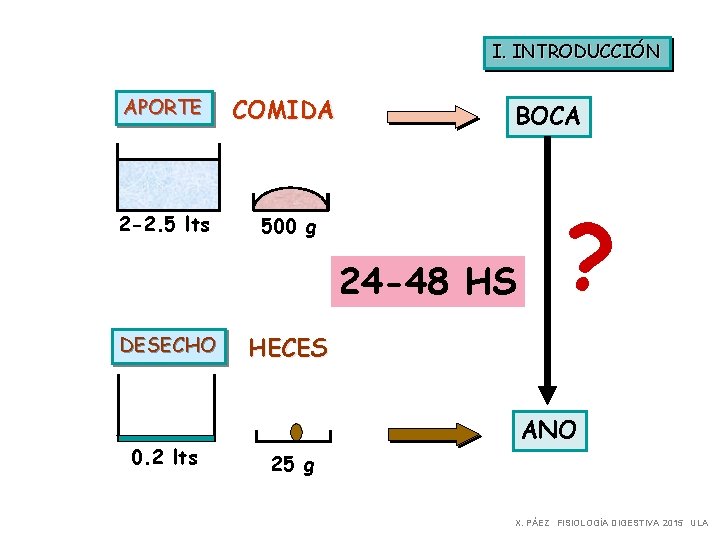 I. INTRODUCCIÓN APORTE COMIDA 2 -2. 5 lts 500 g BOCA 24 -48 HS