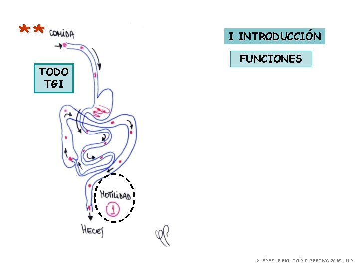 ** TODO TGI I INTRODUCCIÓN FUNCIONES X. PÁEZ FISIOLOGÍA DIGESTIVA 2015 ULA 