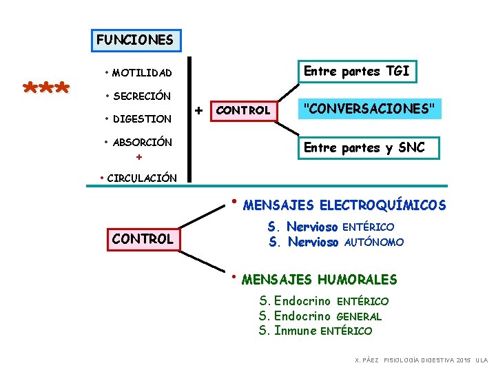 FUNCIONES *** Entre partes TGI • MOTILIDAD • SECRECIÓN • DIGESTION • ABSORCIÓN +