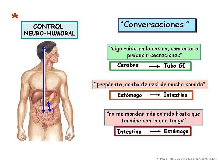 * CONTROL NEURO-HUMORAL “Conversaciones ” “oigo ruido en la cocina, comienza a producir secreciones”