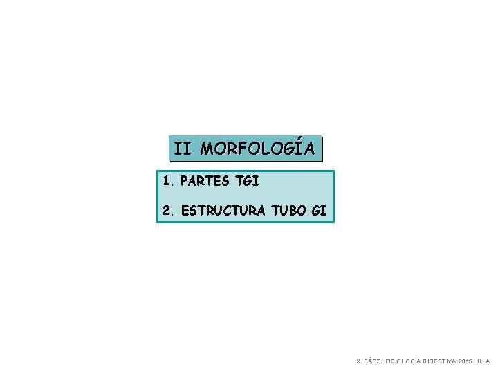 II MORFOLOGÍA 1. PARTES TGI 2. ESTRUCTURA TUBO GI X. PÁEZ FISIOLOGÍA DIGESTIVA 2015