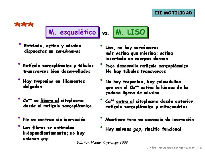 III MOTILIDAD *** M. esquelético vs. M. LISO • Estriado, actina y miosina dispuestas