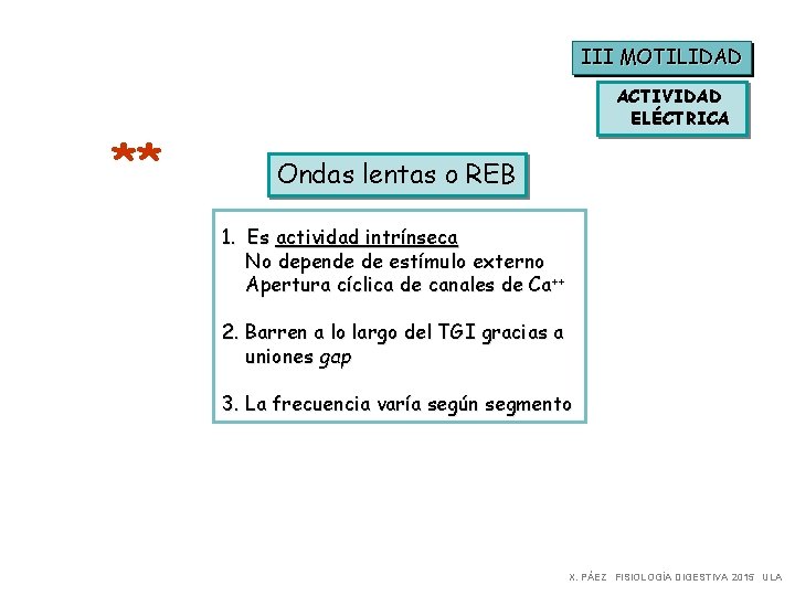 III MOTILIDAD ** ACTIVIDAD ELÉCTRICA Ondas lentas o REB 1. Es actividad intrínseca No