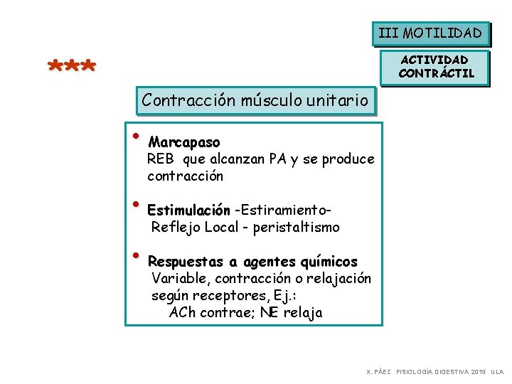 III MOTILIDAD *** ACTIVIDAD CONTRÁCTIL Contracción músculo unitario • Marcapaso REB que alcanzan PA