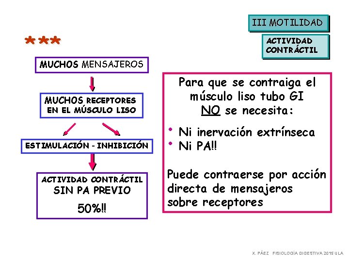 III MOTILIDAD * ** ACTIVIDAD CONTRÁCTIL MUCHOS MENSAJEROS MUCHOS RECEPTORES EN EL MÚSCULO LISO