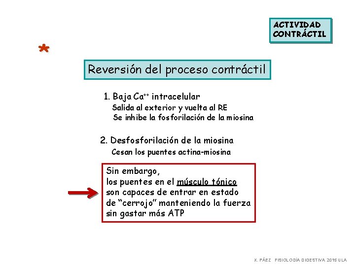 * ACTIVIDAD CONTRÁCTIL Reversión del proceso contráctil 1. Baja Ca++ intracelular Salida al exterior