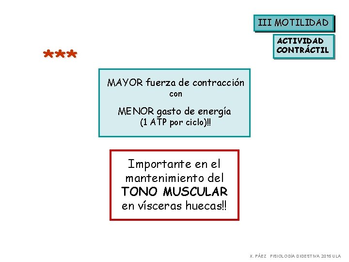 III MOTILIDAD ACTIVIDAD CONTRÁCTIL * ** MAYOR fuerza de contracción con MENOR gasto de