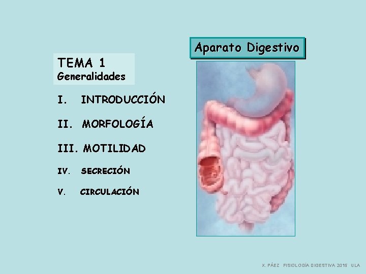 TEMA 1 Aparato Digestivo Generalidades I. INTRODUCCIÓN II. MORFOLOGÍA III. MOTILIDAD IV. SECRECIÓN V.