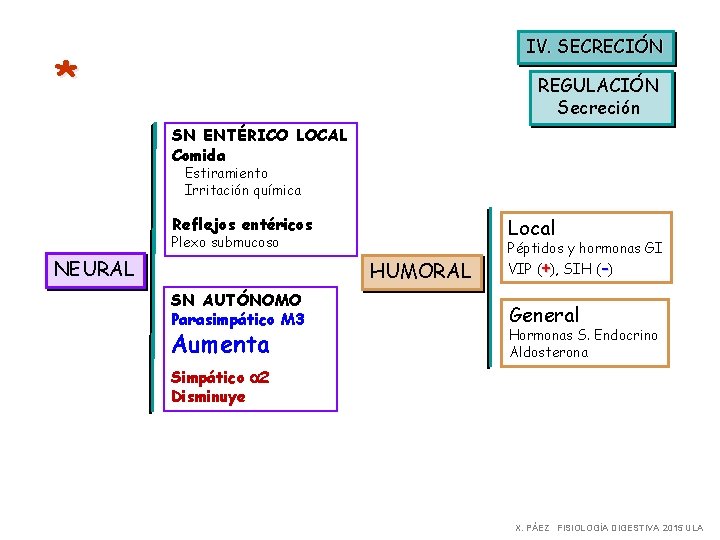 IV. SECRECIÓN * REGULACIÓN Secreción SN ENTÉRICO LOCAL Comida Estiramiento Irritación química Reflejos entéricos