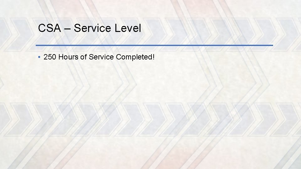 CSA – Service Level • 250 Hours of Service Completed! 