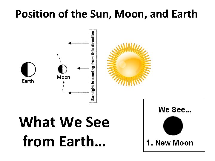 Position of the Sun, Moon, and Earth Moon What We See from Earth… 1.