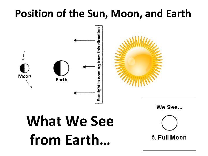 Position of the Sun, Moon, and Earth Moon Earth What We See from Earth…