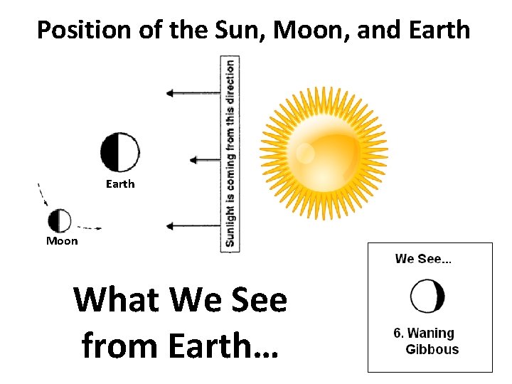 Position of the Sun, Moon, and Earth Moon What We See from Earth… 