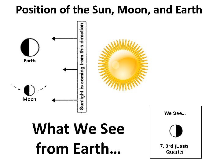 Position of the Sun, Moon, and Earth Moon What We See from Earth… 
