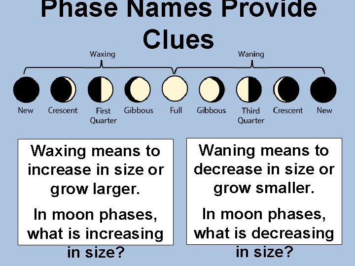 Phase Names Provide Clues Waxing means to increase in size or grow larger. Waning
