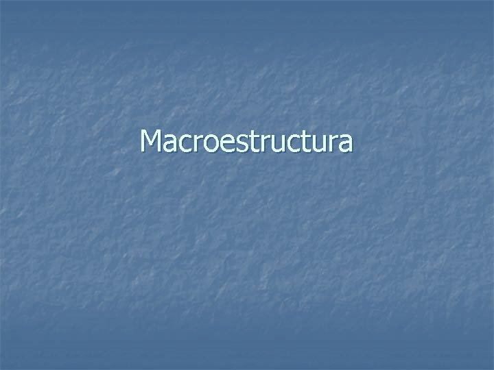 Macroestructura Macroestructura