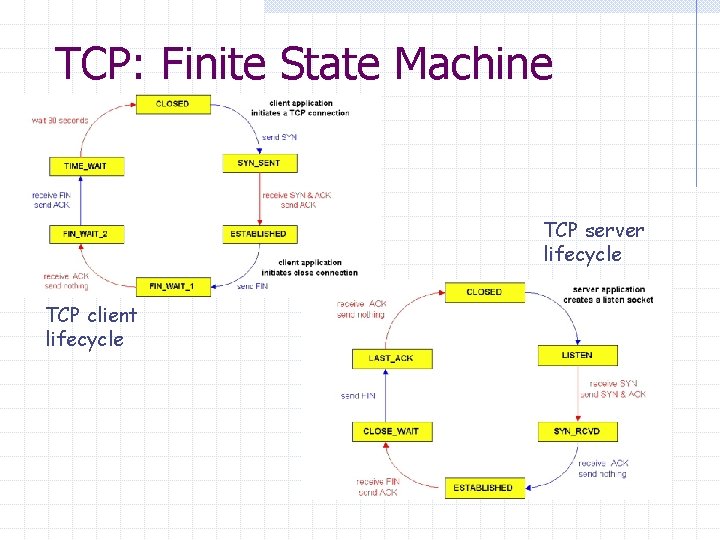 TCP: Finite State Machine TCP server lifecycle TCP client lifecycle 