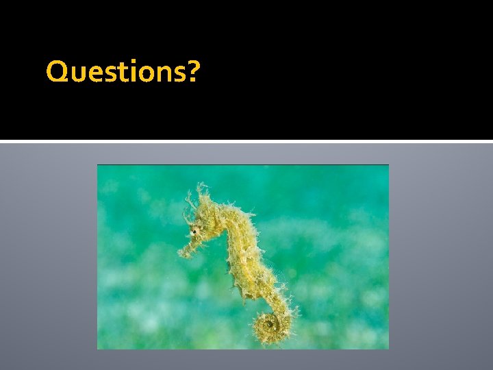 Questions? Questions?