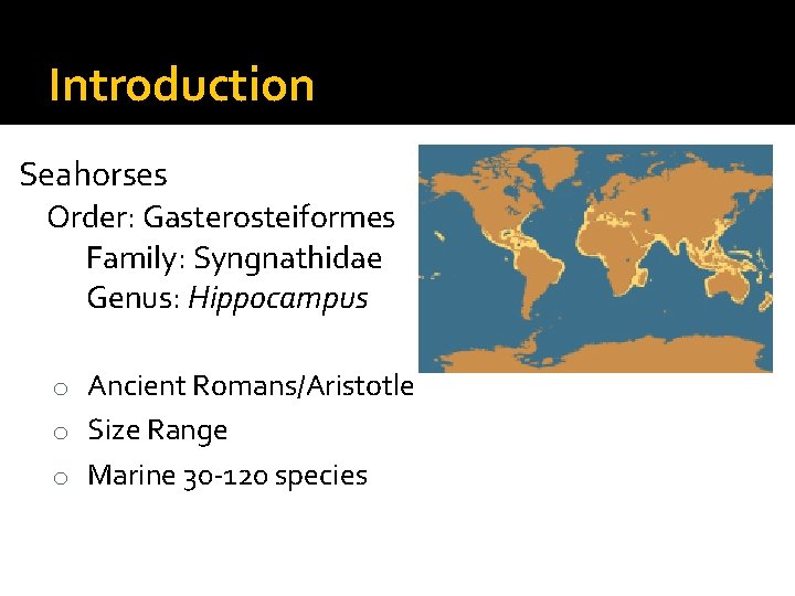 Introduction Seahorses Order: Gasterosteiformes Family: Syngnathidae Genus: Hippocampus o Ancient Romans/Aristotle o Size Range Introduction Seahorses Order: Gasterosteiformes Family: Syngnathidae Genus: Hippocampus o Ancient Romans/Aristotle o Size Range